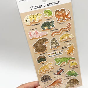 Reptile Stickers - Animal Stickers