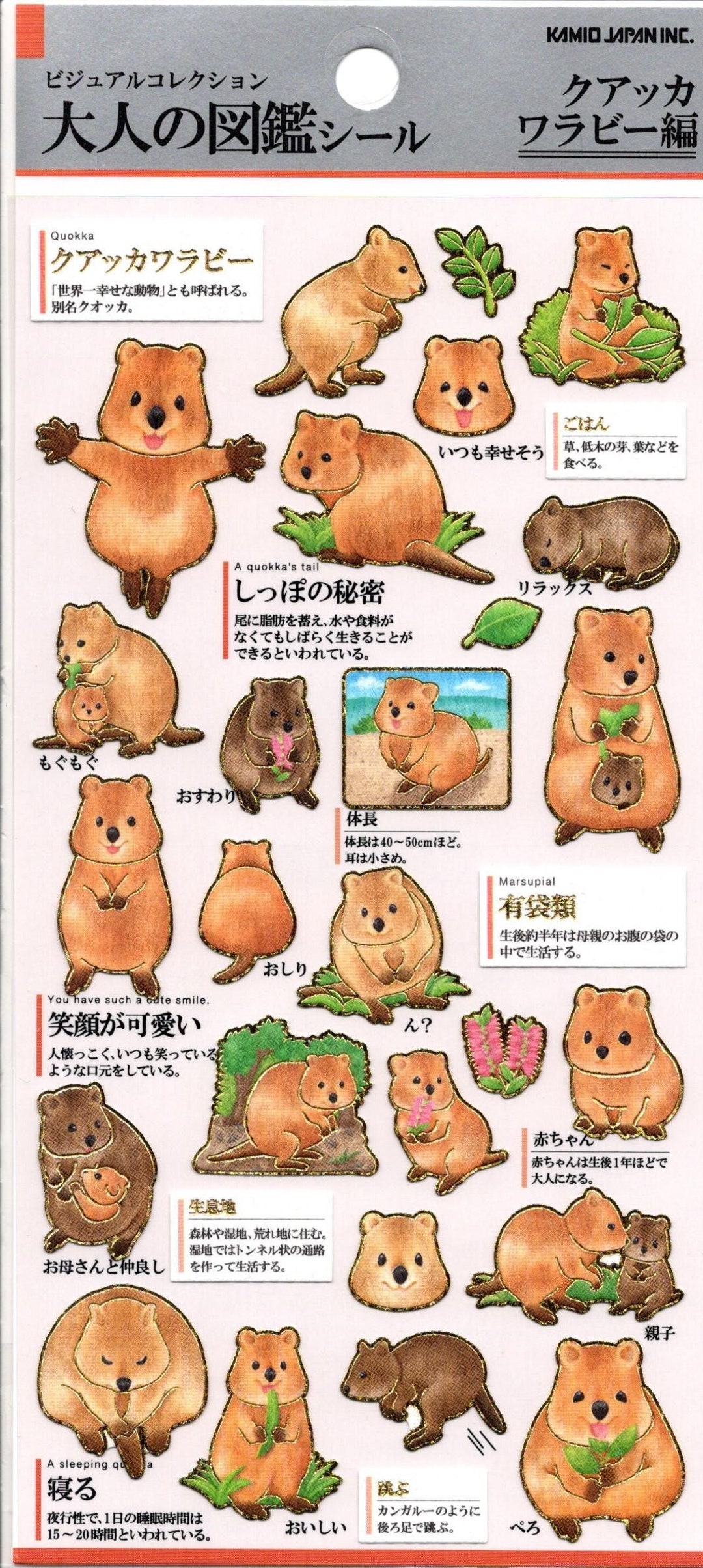 クオッカワラビーステッカー - 動物ステッカー - 紙ステッカー - カミオ - 参照番号 A3426-28 - Etsy 日本