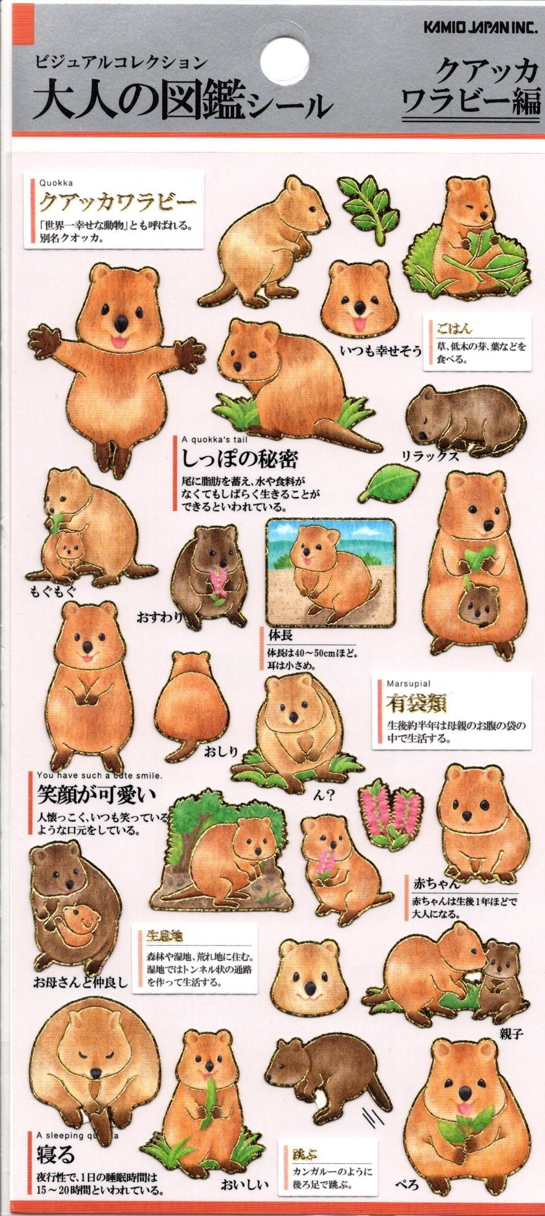 Quokka Wallaby Stickers Animal Stickers Paper Stickers Etsy