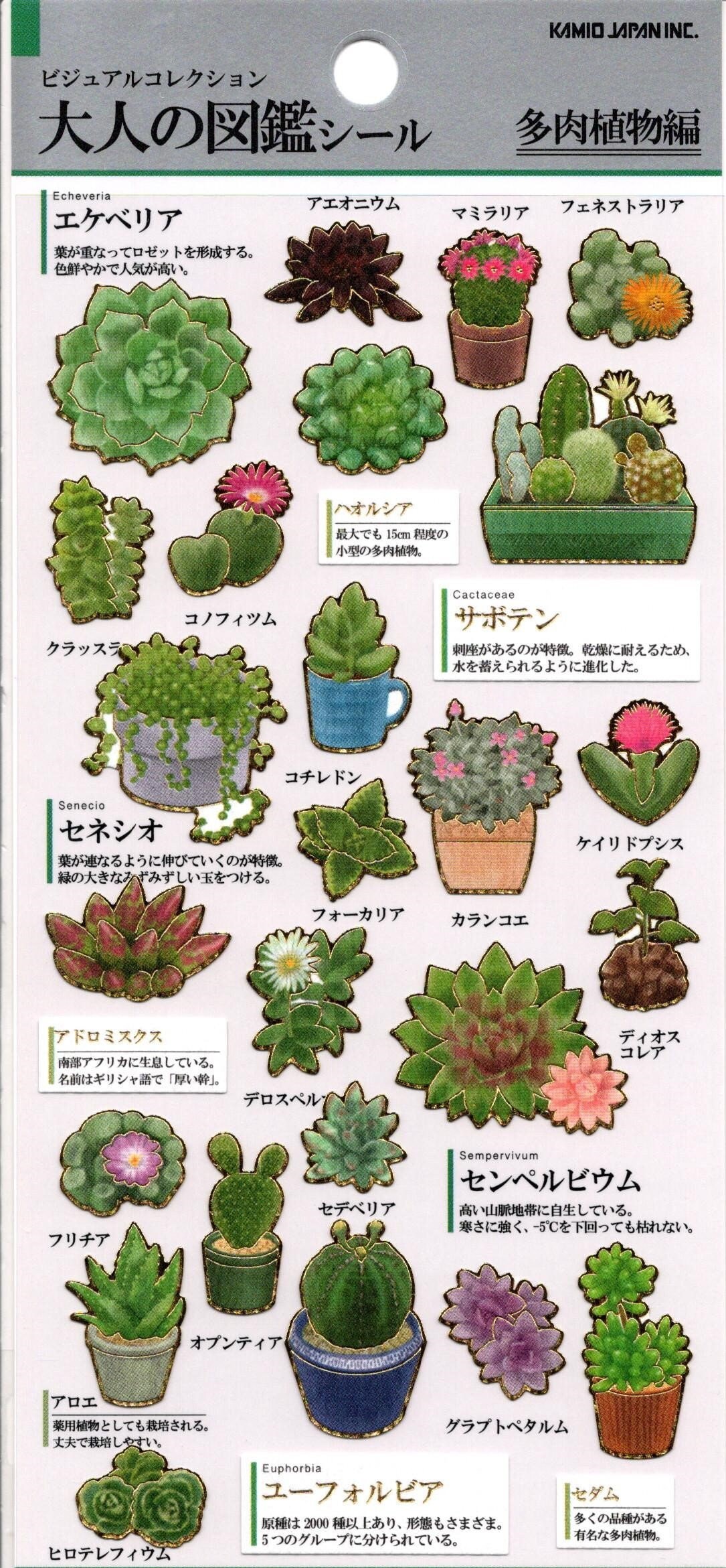 Cacti Stickers Paper Stickers Kamio Reference Etsy Cacti Stickers Paper Stickers Kamio Reference Etsy