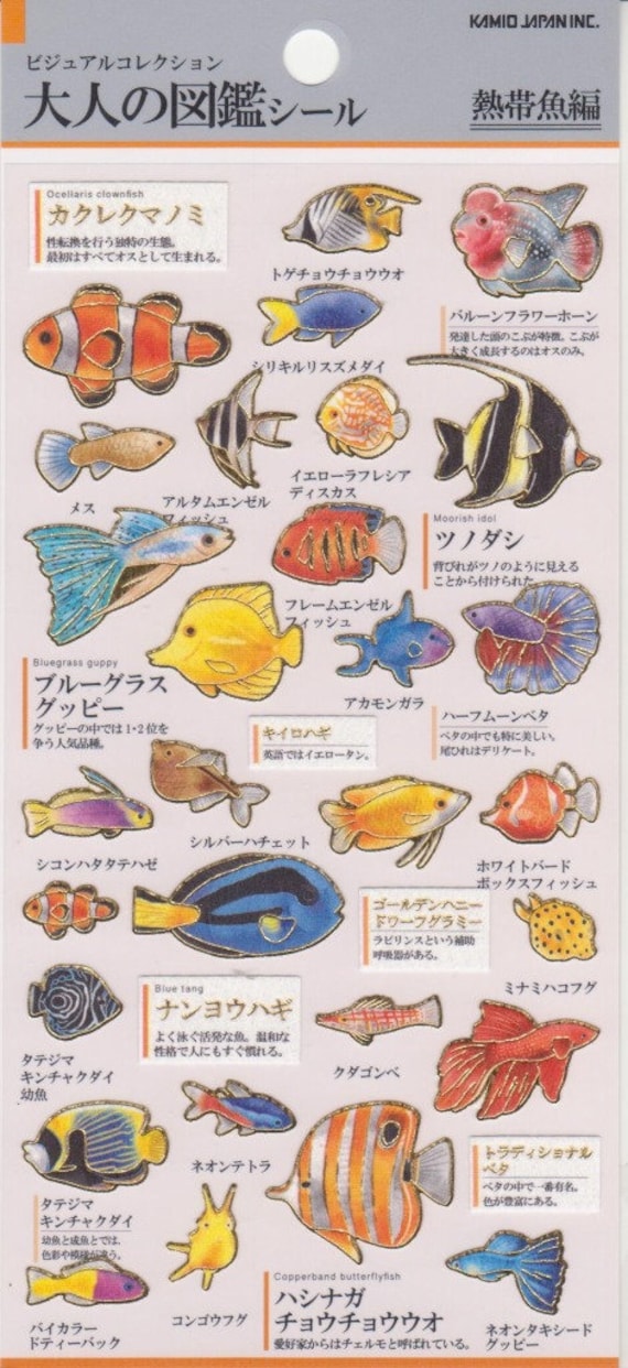 Fish Stickers Ocean Stickers Paper Stickers Kamio  Etsy