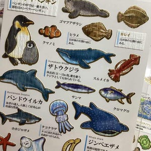 Meerestier-Sticker - Ozean-Sticker - Papier-Sticker - Kamio-Sticker