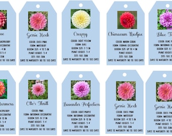 Plantilla digital de Canva para etiquetas personalizadas azules para dalias, flores y plantas