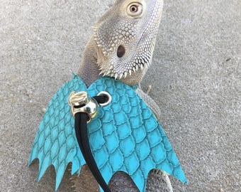 May include: A bearded dragon wearing a turquoise harness with a scale pattern and wing-like design. The harness is attached to a black leash with a silver clasp. The reptile is gray and tan in color.