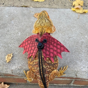 May include: A bearded dragon wearing a red leather dragon costume with black straps. The dragon is standing on a concrete surface with leaves scattered around.