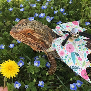 May include: A brown and orange bearded dragon wearing a white floral harness with wings. The harness has a black leash attached to it. The dragon is standing in a field of green grass and blue flowers.