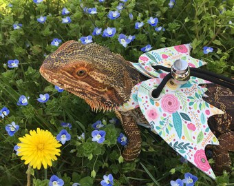Leather Lizard Harness--Spring Fling with Wings