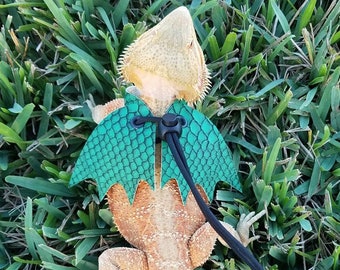 May include: A green and brown lizard wearing a green dragon costume with a black leash. The costume has a scaly pattern and is designed to look like a dragon's wings.