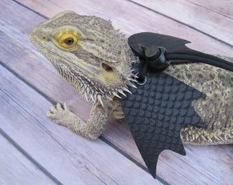 juvenile bearded dragon leash