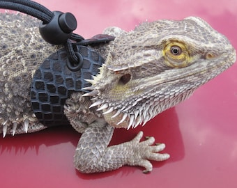 Leather Lizard Harness--Stark Black Dragon