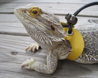 Leather Lizard Harness--Dandelion