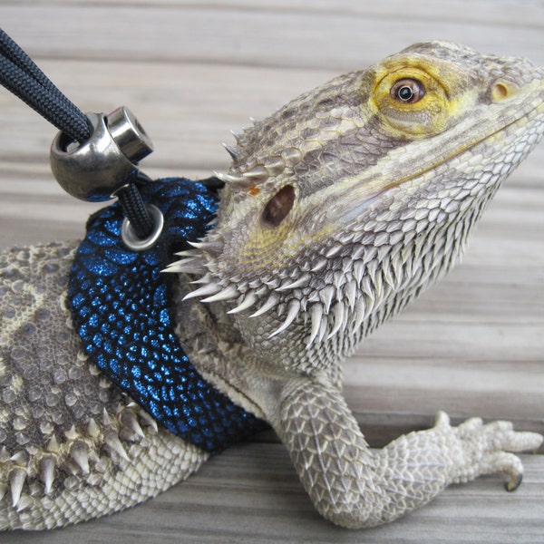 Leather Lizard Harness--Water Dragon