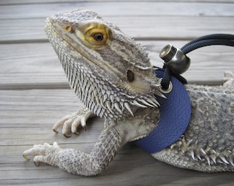 Leather Lizard Harness--Posh Purple