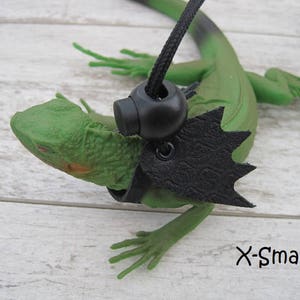 May include: Green lizard wearing a black leather harness with a black buckle and a black ring on a black cord. The harness has a pointed, wing-like design. The lizard is on a white wooden surface. The text "X-Small" is visible in the lower right corner of the image.