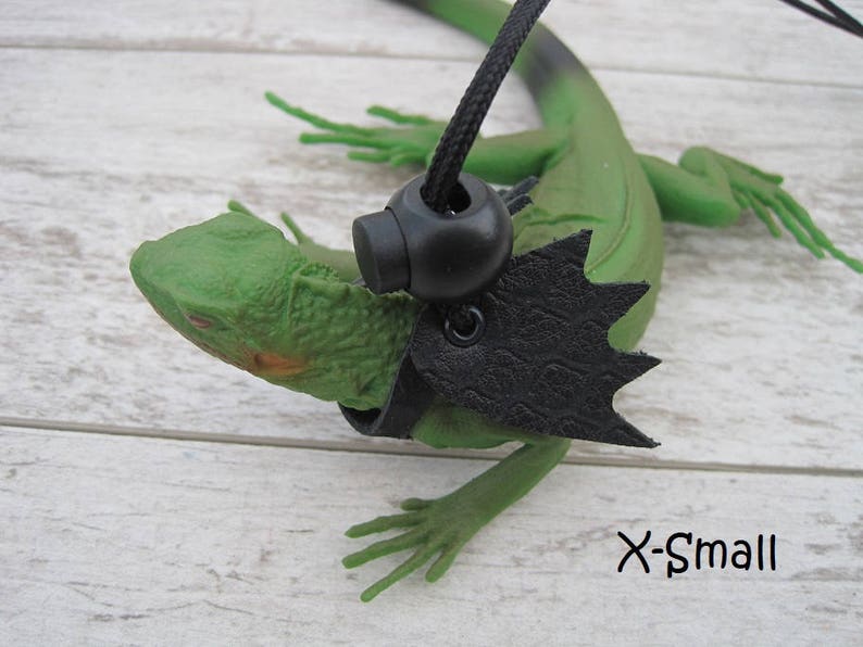 May include: Green lizard wearing a black leather harness with a black buckle and a black ring on a black cord. The harness has a pointed, wing-like design. The lizard is on a white wooden surface. The text "X-Small" is visible in the lower right corner of the image.