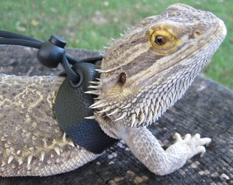 Leather Lizard Harness--Black