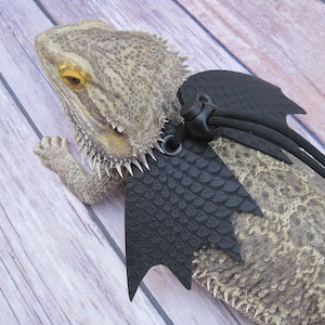 May include: A bearded dragon wearing a black bat costume with a textured, scaly design. The costume has a black strap with a buckle and is attached to the dragon's back.