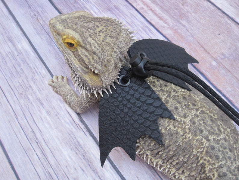 May include: A bearded dragon wearing a black bat costume with a textured, scaly design. The costume has a black strap with a buckle and is attached to the dragon's back.