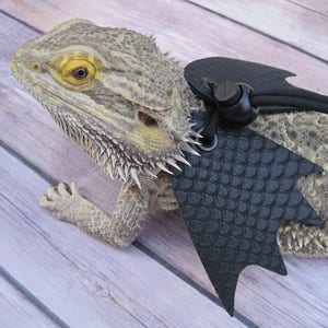 May include: A bearded dragon wearing a black bat costume with a textured, scaly design. The costume has a black strap with a buckle and a black cord.