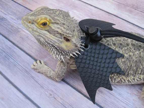 Leather Lizard Harness--Stark Black Dragon with Wings