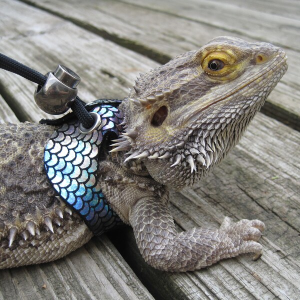 Leather Lizard Harness--Aquarius