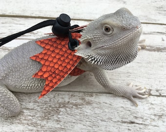 May include: A gray bearded dragon wearing an orange leather reptile harness with a black leash attached. The harness has a scaly pattern and a pointed design.