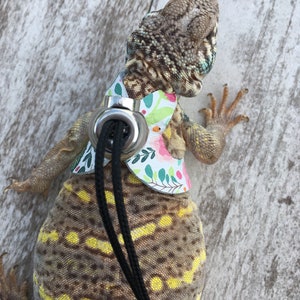 May include: A small lizard wearing a floral patterned harness with a black leash attached. The lizard has a yellow and brown spotted pattern.
