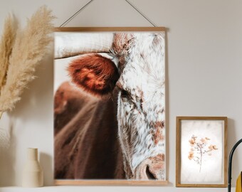Highland Cow Print, Printable art, Farm Animal Art, Digital Download, Cow Print, Highland Cow, Cattle Prints, Color Photography,Animal Print