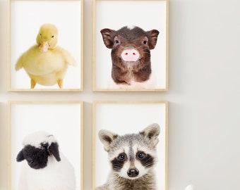 Farm animal prints, Nursery wall art, PRINTABLE art set, Farm animals, Pig print, Art print, Nursery animal wall art, Farm animal nursery