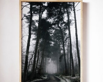 Moody Woodlands Printable, Modern Scandinavian Print, Winter Landscape Photography, Scandi Wall Art Decor, Trees Forest, Nature Wilderness