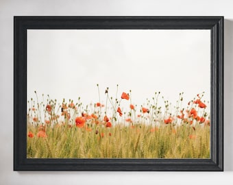Arte da parete botanica, Decorazione per la casa con papaveri, Arte da parete campo di papaveri, Poster grande stampabile, Download digitale, Decorazione per la casa, Minimalista moderno, Stampe