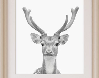 Deer Print, Woodland Nursery Decor, Printable Wall Art, Digital Download, Black and White, Animal Print, Deer Head Antlers, Holiday Wall Art