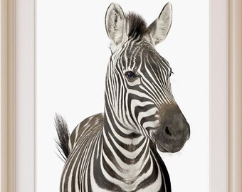 Safari nursery decor, Zebra print, PRINTABLE art, Safari animals wall art, zebra printable, Safari theme, Nursery wall art, animal prints