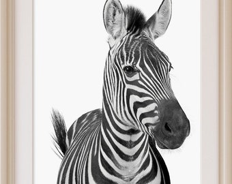 Safari Nursery Decor, Zebra Print, Baby Animal Wall Art, Instant Printable Download, Large Kids Room Poster, Black and White,Zebra Printable