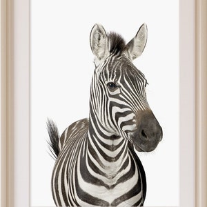 Safari nursery decor, Zebra print, PRINTABLE art, Safari animals wall art, zebra printable, Safari theme, Nursery wall art, animal prints