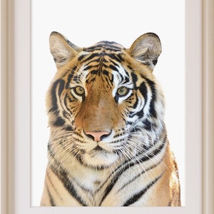 Impresión de tigre, arte de pared de animales para guardería, decoración de safari para habitación de bebé, foto de tigre para niños, póster grande imprimible, descarga instantánea, safari