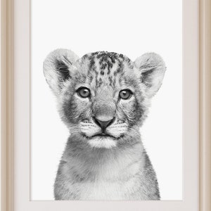 Löwenjunges Druck, Safari-Kinderzimmer-Dekor, druckbare Wandkunst, Baby Tier, Sofortiger Download, große Kinderzimmer Poster, schwarz und weiß Foto, Print