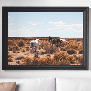 May include: Three horses standing in a field of yellow wildflowers. The horses are white, black, and brown. The sky is blue with white clouds.