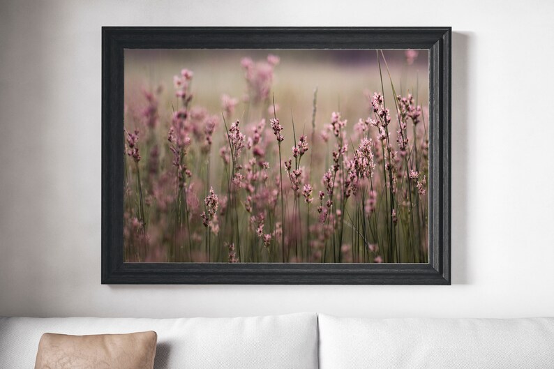 Pu&ograve; includere: Una fotografia incorniciata di un campo di fiori selvatici rosa a fuoco morbido. I fiori sono alti e sottili, con petali delicati. Lo sfondo &egrave; un campo sfocato di erba verde.