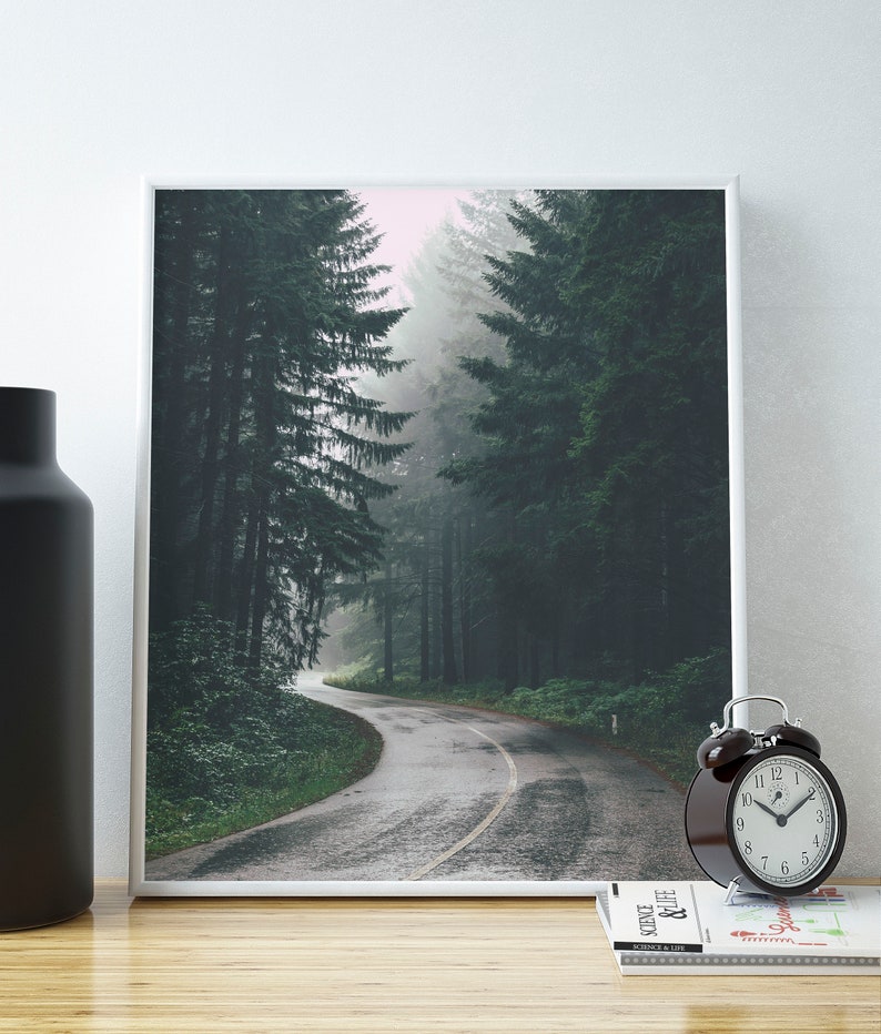 Foggy Forest Road Printable, Misty Woodland Wall Art, Wilderness Poster, Landscape Decor Forest Photography Downloadable Print Printable Art image 3