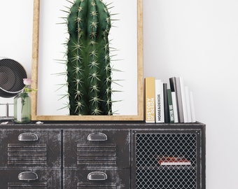 Arte de cactus, arte IMPRIMIBLE, arte botánico, arte minimalista, arte moderno, decoración de cactus, impresión de pared, decoración imprimible, impresión de naturaleza, impresiones de cactus