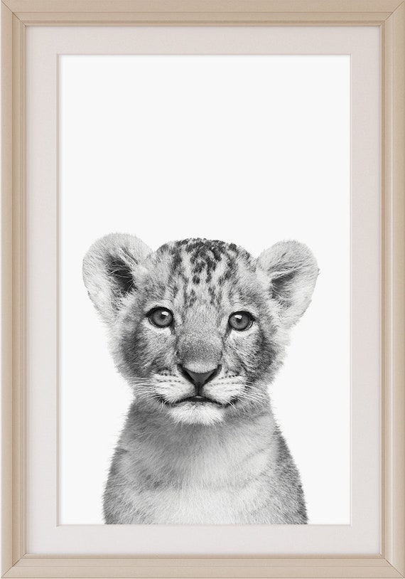Watercolor Lion face high quality poster A4 printed thick gloss home decor wall