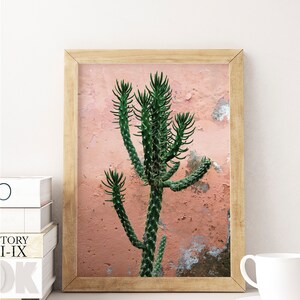 Kaktus Druck, DRUCKBARE Kunst, rosa und grün, Kaktus Poster, Naturdruck, moderner Minimalismus, Südwestern Dekor, Kaktus Fotografie, Kunst