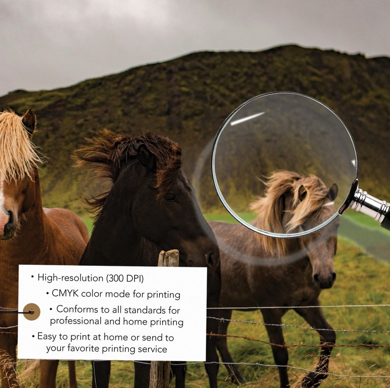 May include: A scenic photograph of three horses in a field. The horses have varying coat colors, including brown, black, and tan. The image is set against a backdrop of a green hill and a cloudy sky. The image is high-resolution and easy to print.