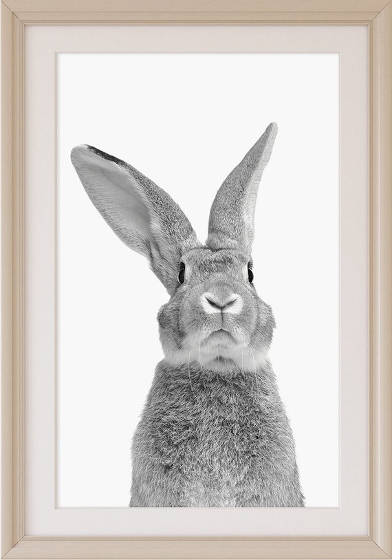 Hare Woodland Animal Head A1 A2 A3 A4 A5 Vintage Art Print Poster