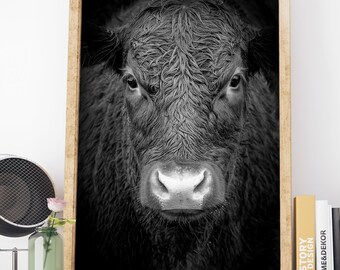 Highland Cow Print, Zwart en Wit, Decor van de boerderij, Shaggy Koe Foto, Grote Poster, Afdrukbare Digitale Download, Rustiek Decor, Boerderijdier
