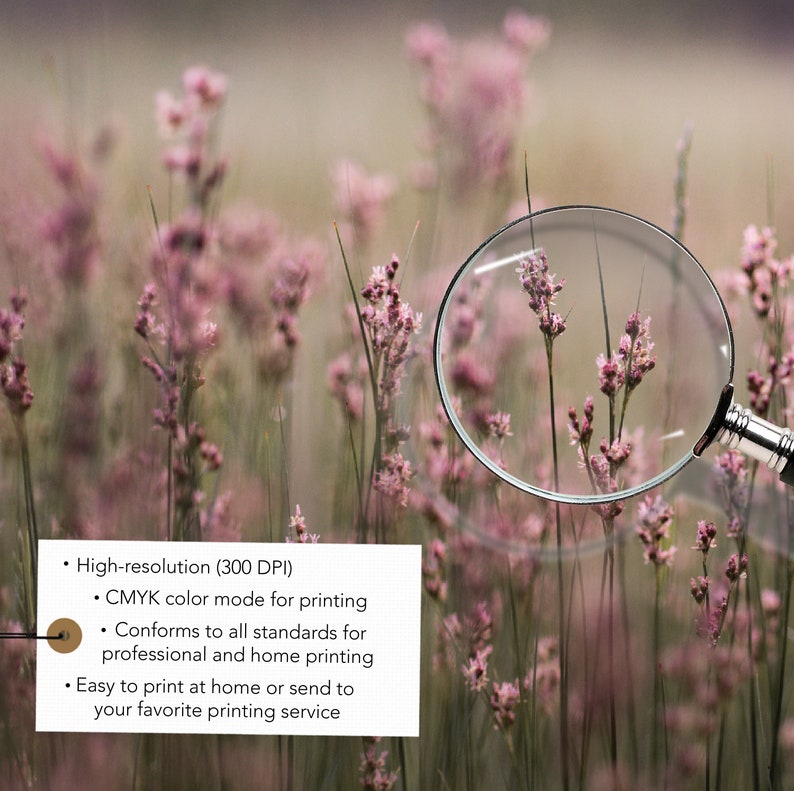 Pu&ograve; includere: Un primo piano di una lente d'ingrandimento su un campo di fiori selvatici rosa. Il testo sottostante recita: "Alta risoluzione (300 DPI) Modalit&agrave; colore CMYK per la stampa Conforme a tutti gli standard per la stampa professionale e domestica Facile da stampare a casa o da inviare al tuo servizio di stampa preferito"