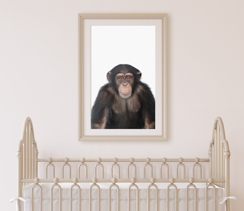 Chimpanzee print, Nursery animal print, PRINTABLE art, Monkey, Safari animals, Nursery decor, zoo animals, Jungle,DIY Nursery Decor,DOWNLOAD image 2