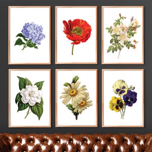 Flower Printable Set, Set of 6 Prints, Printable Garden Art, Vintage Botanical Art, Flower Art Print Vintage, Print Set, Instant Download