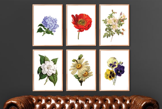 Flower Printable Set, Set of 6 Prints, Printable Garden Art, Vintage Botanical Art, Flower Art Print Vintage, Print Set, Instant Download